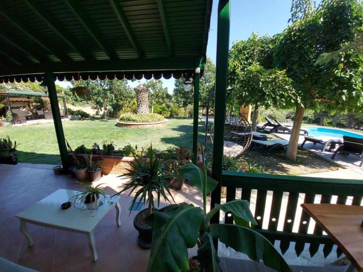 My House Urla * İzmir